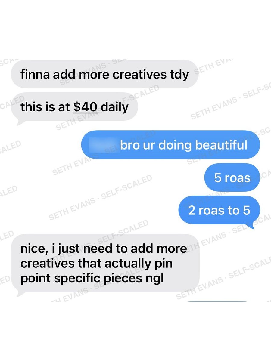 Text conversation with a client: $2 back to $5 back per $1 in ads